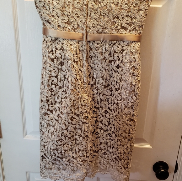 Cache Strapless Gold Midi Embroidered Dress - Picture 7 of 10